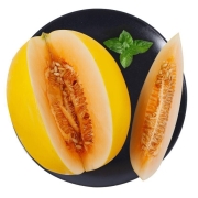 黄河蜜瓜 净重5斤装 2-4个 单果600g+
