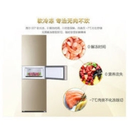 Haier 海尔 BCD-216WMPT 家用三门电冰箱 216升