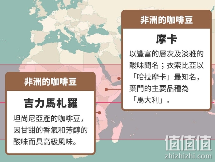 挂耳式咖啡怎么选？挂耳式咖啡选购指南