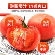 绿行者 桃太郎粉番茄新鲜西红柿5斤