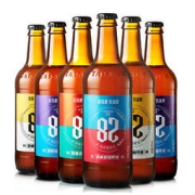TAISHAN 泰山啤酒 泰山原浆28天倒标9度450ml6瓶