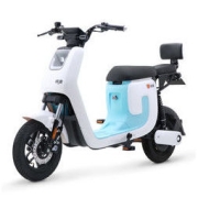 LUYUAN 绿源 ZK5-K5 电动自行车 TDT2171Z