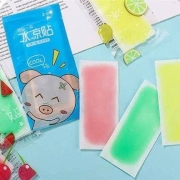 京东极速版：铁群岛 冰凉贴 20片 混合味 每袋2片