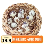 京东极速版：芮瑞 芮瑞 新鲜生鹌鹑蛋   50枚