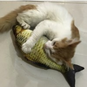 咪贝萌 毛绒猫玩具 鲫鱼小号 20cm