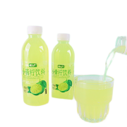 京东极速版：饮料 果汁 0脂肪 0蛋白清爽不腻360ml/瓶 小青柠6瓶