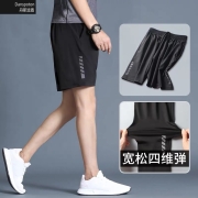 丹斯波盾 男士冰丝速干运动短裤 DK220