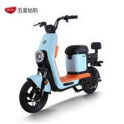五星钻豹 B5 新国标电动车 TDT28Z 活力蓝