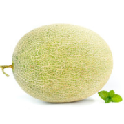 现摘西州蜜瓜网纹瓜  4.5斤装