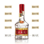 WULIANGYE 五粮液 第八代52度500ml*6瓶 原装整箱 浓香白酒商务送礼