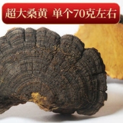 德杏堂 西藏桑黄 30g