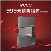 15日20点：ecco 爱步 男士鞋子福袋（内含2双）
