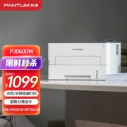 PANTUM 奔图 P3060DW 黑白激光打印机