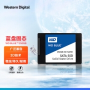 Western Digital 西部数据 蓝盘 SATA 固态硬盘 250GB (SATA3.0)