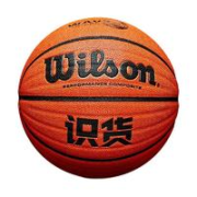 Wilson 威尔胜 专业篮球 7号 WB672GTV0