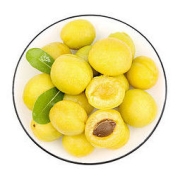 13日10点：京觅 新疆小白杏 500g 尝鲜装