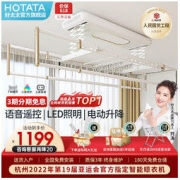 HOTATA 好太太 D-3125 电动升降式晾衣架 2.2m 北欧白+卢浮金