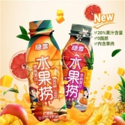 隐雪  水果捞  果肉果汁饮料240g*10