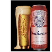 Budweiser 百威 啤酒经典醇正 450ml*20罐