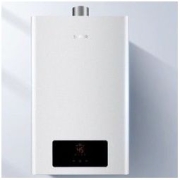 SUPOR 苏泊尔 恒温系列 JSQ23-12R-DK20 燃气热水器 12L