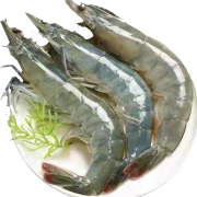 PLUS会员：澳角大厝 单只18-20厘米青岛大虾 15-20只 250g*4件