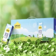 再降价、88vip：认养一头牛 全脂纯牛奶 250ml*20盒/箱
