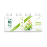 yili 伊利 畅轻 燕麦+青提+芦荟口味 250g*4 0添加 低温酸奶酸牛奶风味发酵乳 健康轻食