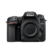 Nikon 尼康 D7500 中端单反相机 单机身