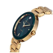 ANNE KLEIN 安妮·克莱因 典雅流光系列 32毫米石英腕表 AK-1362GNGB