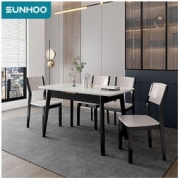 SUNHOO 双虎-全屋家具 1903 现代简约餐桌椅组合 1桌4椅 镂空款