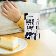 西域春 天山新鲜纯牛奶 200克*20盒