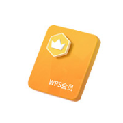 WPS 金山软件 会员 372天年卡