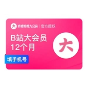 哔哩哔哩 B站VIP 12个月
