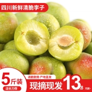 宜宾公共区域品牌 长江宜人宜礼 四川特产脱骨茵红李 单果22-28g/5斤