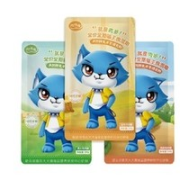 Rouduoli 肉哆哩 生骨肉主食猫饭 100g*10袋