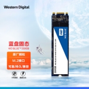 Western Digital 西部数据 蓝盘系列 WDS250G2B0B NVMe M.2 固态硬盘 250GB M.2