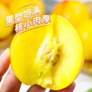 盒马鲜生 山东蒙阴黄金油桃（单果100g+）3斤
