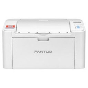 PANTUM 奔图 P2206W 黑白激光打印机 青春版