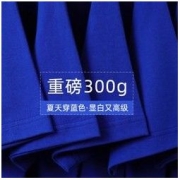 霍利菲尔 300g重磅T恤 WFT22051611