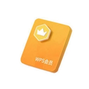 WPS 金山软件 会员 744天两年卡