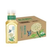 88VIP：NONGFU SPRING 农夫山泉 东方树叶茉莉花茶 335ml*15瓶