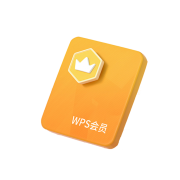 WPS 金山软件 会员 372天年卡
