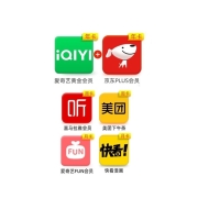 爱奇艺 黄金会员年卡+京东 plus年卡