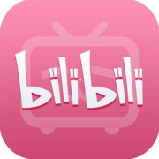 哔哩哔哩 B站VIP 12个月