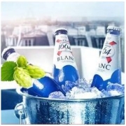 Kronenbourg 1664凯旋 原装进口1664克伦堡凯旋小麦精酿白啤酒 330ml*24瓶
