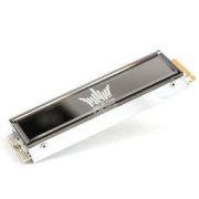 GALAXY 影驰 HOF 名人堂 PRO 4.0 NVME HOF Pro 20 固态硬盘 1T