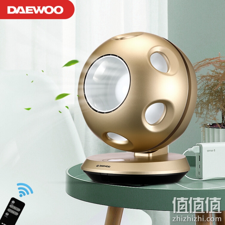 大宇（DAEWOO）韩国品牌电风扇/无叶风扇/落地扇/台扇 家用空调小电扇 节能省电儿童扇富贵金DWF-R0901DC