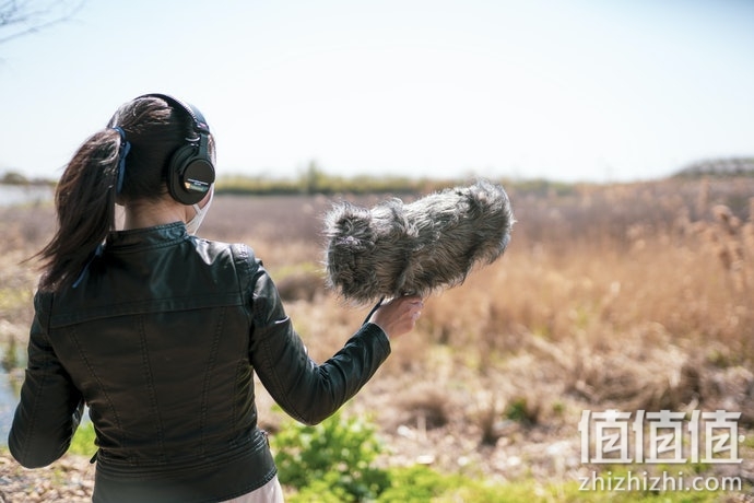 网络直播麦克风怎么选？直播麦克风选购指南