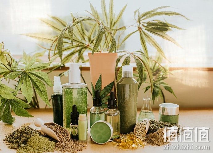 香氛洗发露怎么选？香氛洗发露选购指南