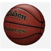 Wilson 威尔胜 7号篮球 WTB9118IB07CN